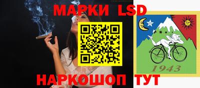 Альфа ПВП Ставрополь