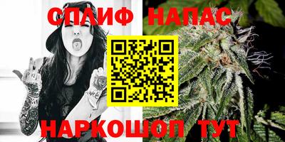Альфа ПВП Ставрополь