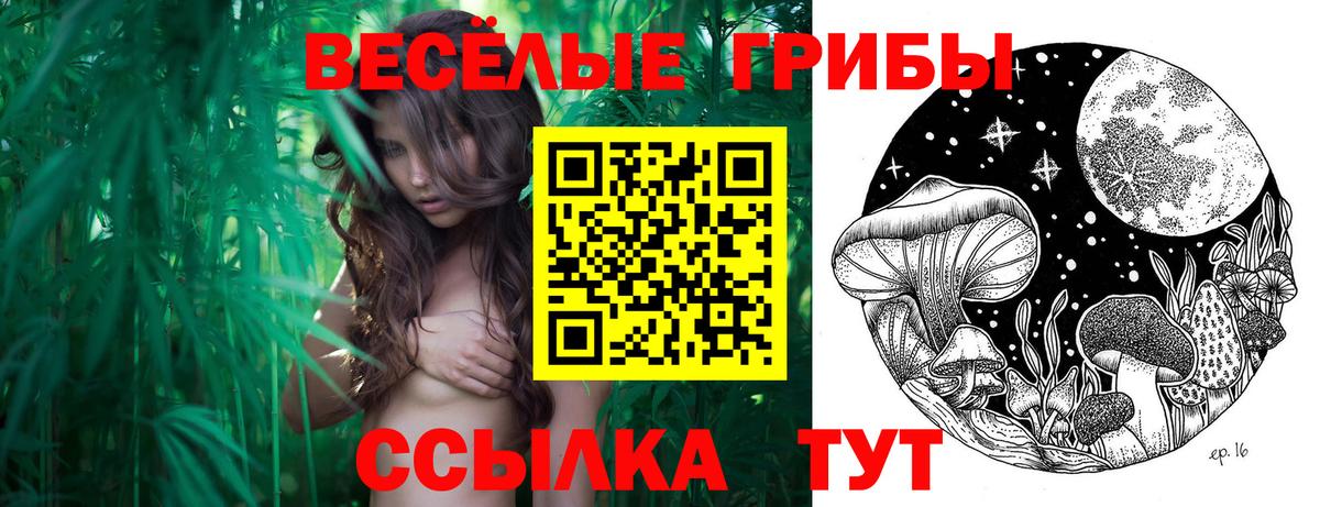 Псилоцибиновые грибы мухоморы  Вход с VPN  Павловский Посад 