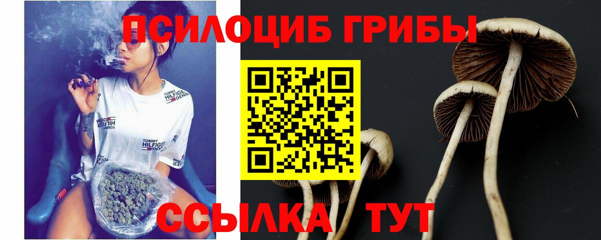 ГАШИШ Павловский Посад